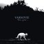 Perspective Nevski - Single