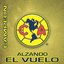 América - Alzando el Vuelo