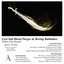 Yellow Fog Sword