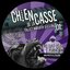Chien de la casse 01