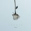 Sevdas - Single