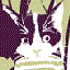 Avatar für Luxington