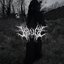 Withering Woods