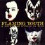 Flaming Youth - A Norwegian Tribute To Kiss
