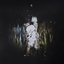 Face to Face With Fantasy [Explicit]