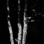 Fascinate Me - Single