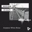 Airplane White Noise