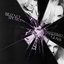 Shattered Glass