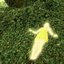 君のいない世界でまた一日が過ぎた