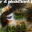 A Saucerful Of Secrets [1987, Toshiba-EMI, CP32-5272]
