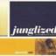 Junglized - Jazzy Funky Drum'n'Bass