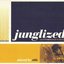 Junglized - Jazzy Funky Drum'n'Bass