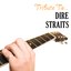 Tribute to Dire Straits