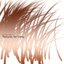 Textures for Sleep - Single