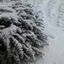 Winter (2014)
