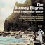 The Blarney Pilgrim: Celtic Fingerstyle Guitar Volume Two