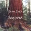 Sequoia