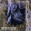 Dancing In The Rain - The Best Of The Essence