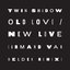 Old Love / New Love (feat. D'Angelo Lacy) [Armand Van Helden Remix]