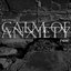 Calm of Anxiety