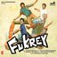 Fukrey