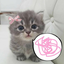 Avatar de serena_lafeta