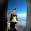 Avatar de RowdyPuddleduck