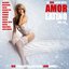 Amor Latino, Vol. 30 - 15 Big Latin Hits & Latin Love Songs (Bachata, Merengue, Salsa, Reggaeton, Kuduro, Mambo, Cumbia, Urbano, Ragga)