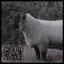 The Grand Sheep