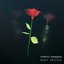 Any More