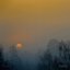 Dawn