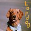 Lapdog - Single