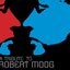 A tribute to Robert Moog