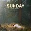 Sunday