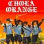 Chola Orange