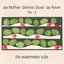 The Watermelon Suite