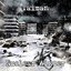 Nuclear Winter