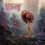 Dolphin - Single