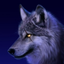 Avatar for darknlow