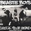 Check Your Head (bonus disc)