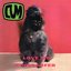 Love Me - Single