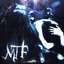 Moths - Single