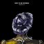Needs - Single