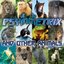 Psymmetrix And Other Animals