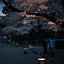 kyoto