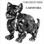 Carnivora