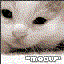 Avatar for madtea