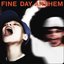 Fine Day Anthem (feat. Boys Noize) - Single