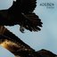 Raven