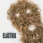 Elastiek